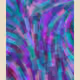 507