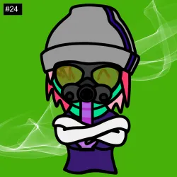 24