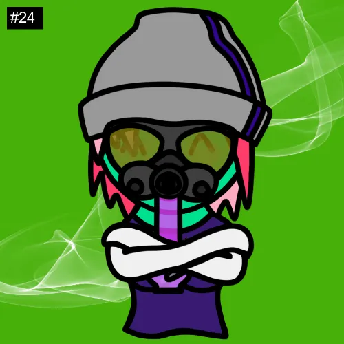 24