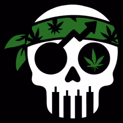 Degen Skull #102
