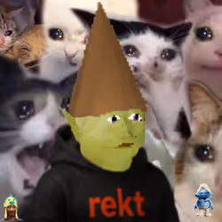 Gnome Kids #1003