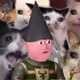 4387