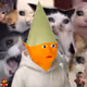 1778