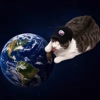 LICKINGCAT