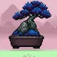 Stockwood Bonsai #0387