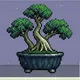 Stockwood Bonsai #4585