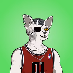 Hood Cats Club #323