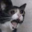INKKY