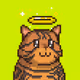 Robin Mews #848