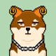 ROBIN_SHIB