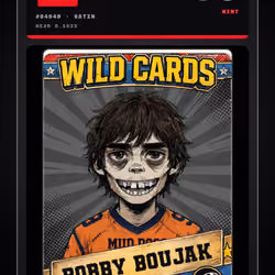 WILDCARDS