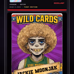 WILDCARDS