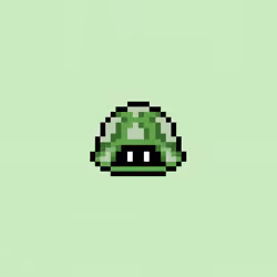 TURTLES