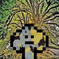 46