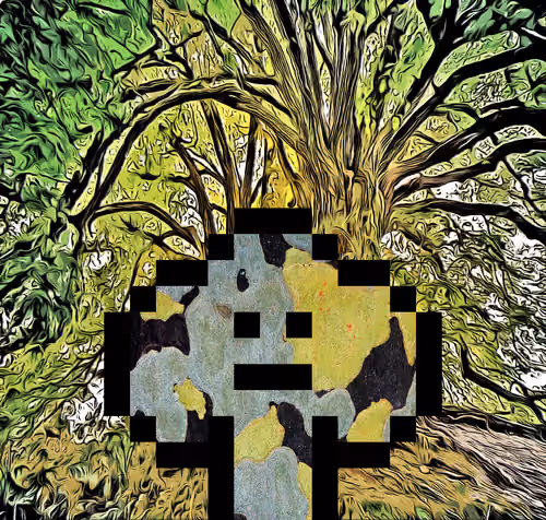 46