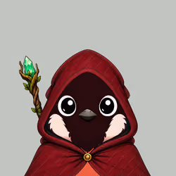 Robin #830