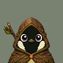 Robin #542