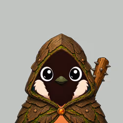 Robin #534
