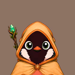 Robin #2416
