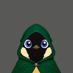 Robin #673