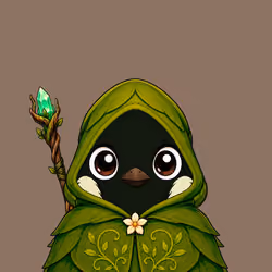 Robin #2243