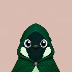 Robin #1261