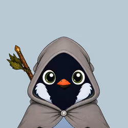 Robin #1704