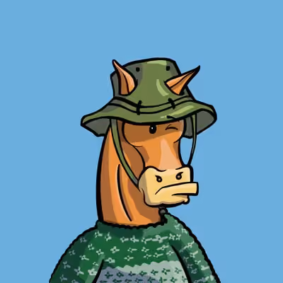 RUUG HORSE