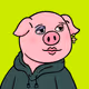 Hooded Pig #725