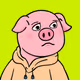 Hooded Pig #736