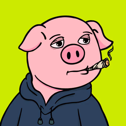 Hooded Pig #36