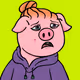 Hooded Pig #726
