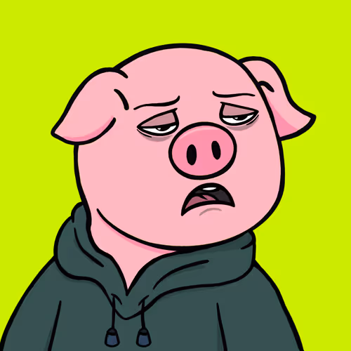 Hooded Pig #579