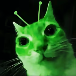 JUST A CAT ( MEME)
