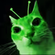 6002