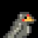 BIRDY #420