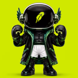 Robinhood Toy #795 — Prize Boxer