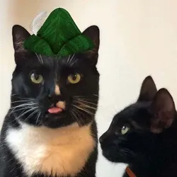 MEOWOOD