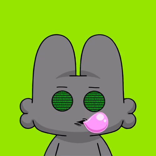 Item #505 Media