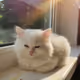 BLEP