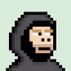 Internet Monke #20