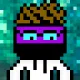 RobinTurtle #509