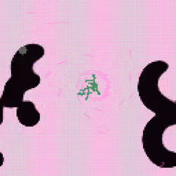 66