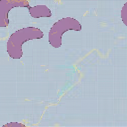 292