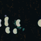 49
