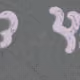 164