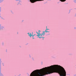 79