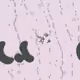 259