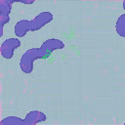 243