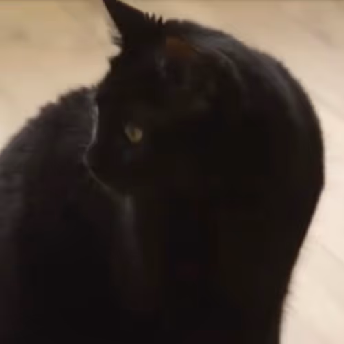 KARMA